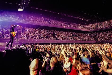 boef ziggo dome